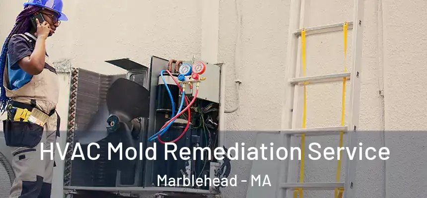  HVAC Mold Remediation Service Marblehead - MA