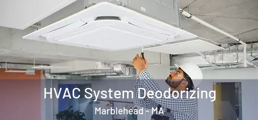 HVAC System Deodorizing Marblehead - MA