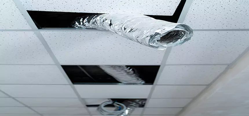 Our Air Duct Pet Hair Removal Services in Marblehead, MA