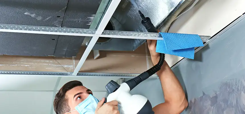 Our Air Duct Rodent Removal Services in Marblehead, MA