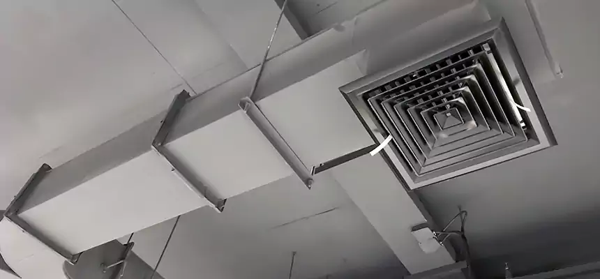 Restorative Allergy Relief Vent Cleaning – Coil, Blower & Housing Detail in Marblehead