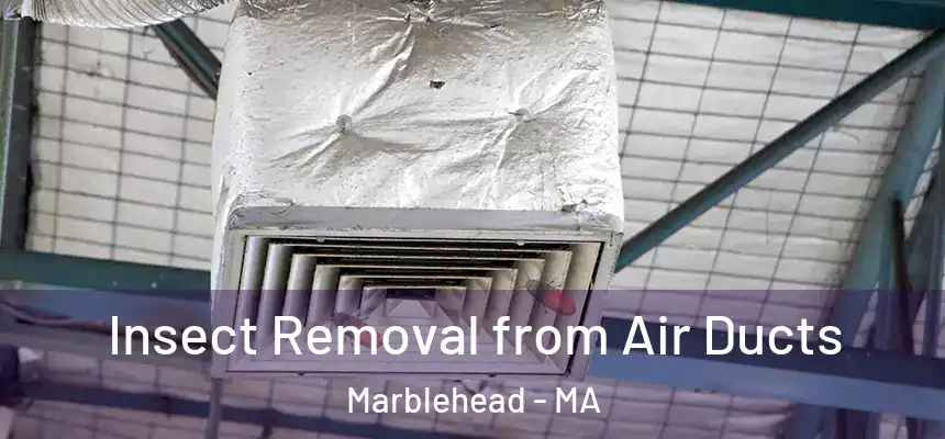  Insect Removal from Air Ducts Marblehead - MA