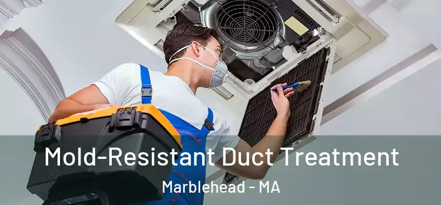 Mold-Resistant Duct Treatment Marblehead - MA
