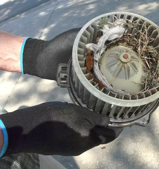 About Air Duct Mice Removal in Marblehead, MA