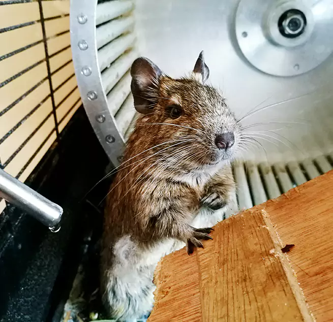 Why Homeowners & Businesses Trust Us Marblehead, MA