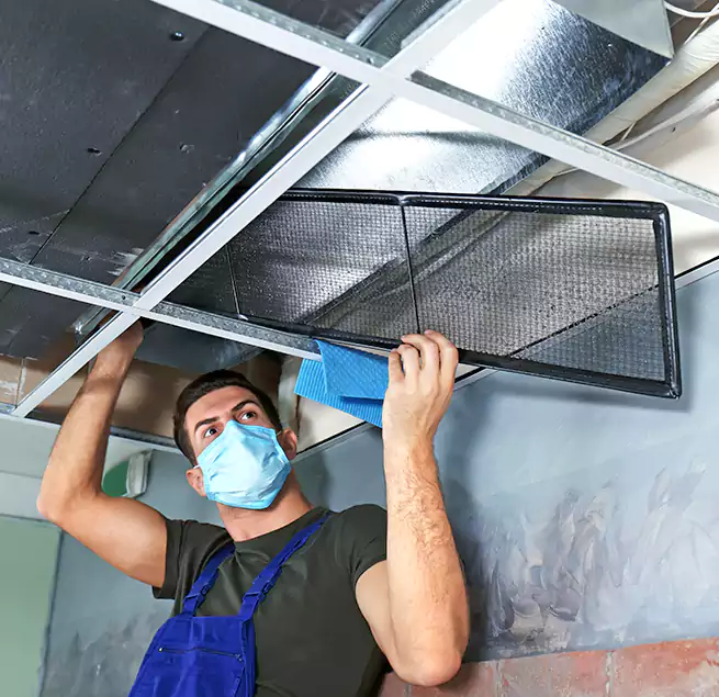 Why Homeowners Businesses Trust Us in Marblehead, MA