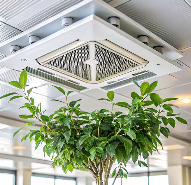 Why Homeowners & Businesses Trust Us in Marblehead, MA?