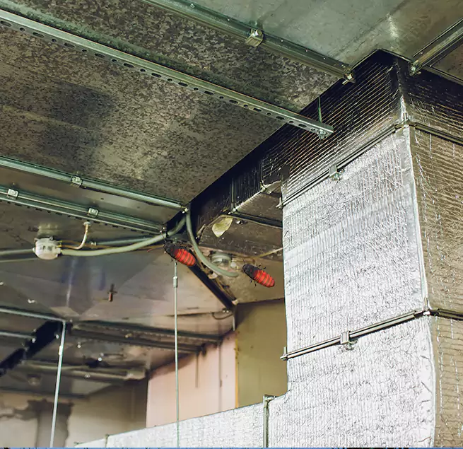 Why Homeowners & Businesses Trust Us Marblehead, MA?